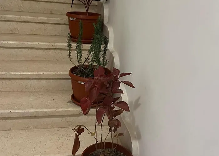 Garden Apartman